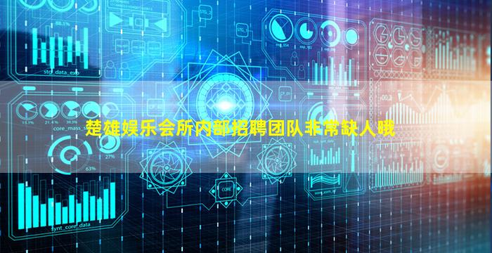 楚雄娱乐会所内部招聘团队非常缺人哦